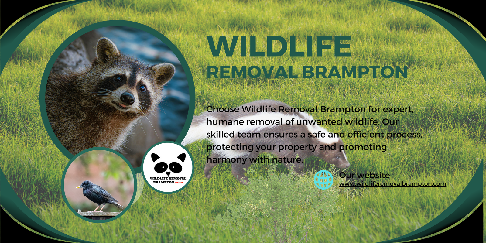 Wildlife Removal Brampton