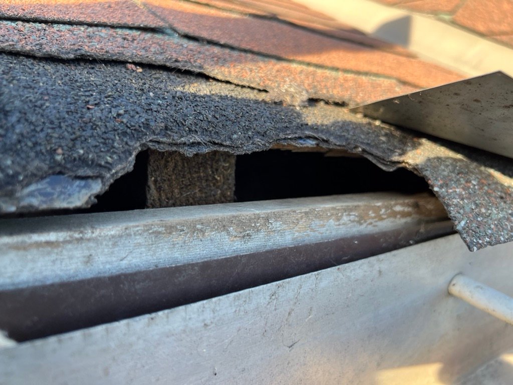 Squirrel Damage and entry hole in Brampton Roof Shingles