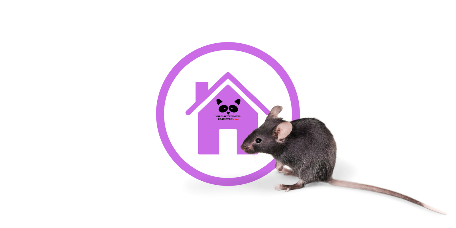 Harmless Pest Control  without Poison